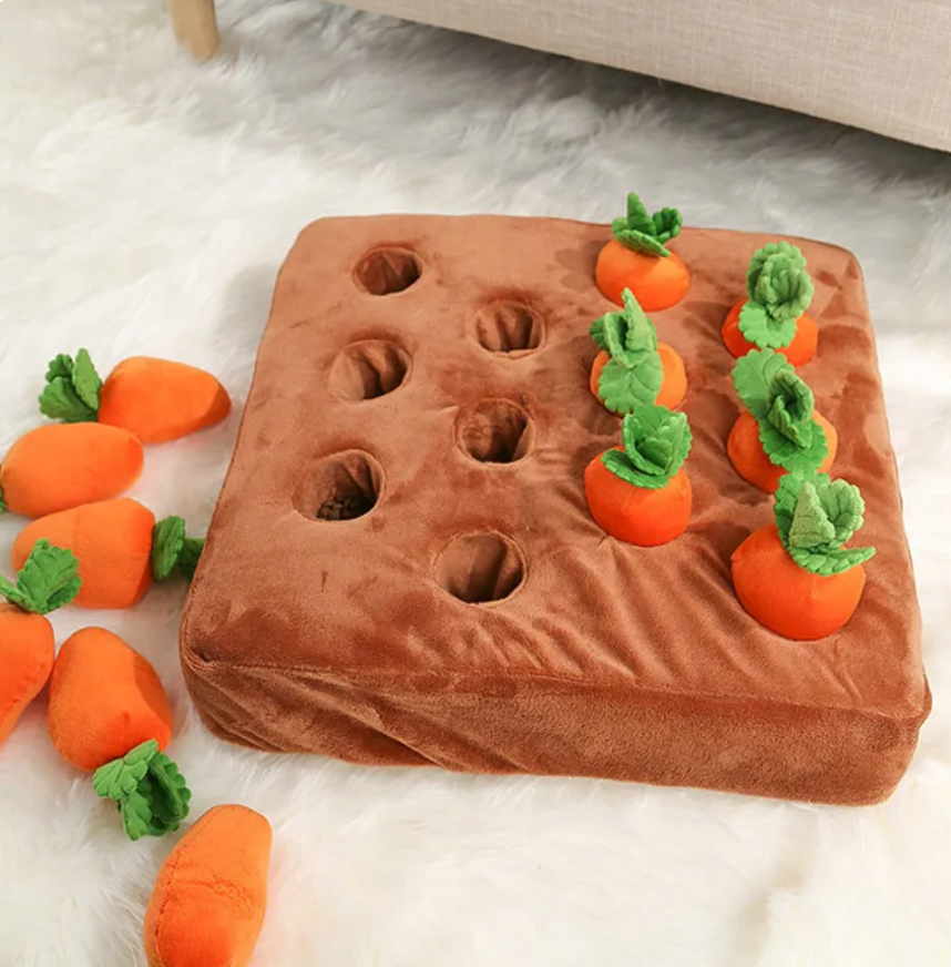 Karotten-Schnüffelmatte